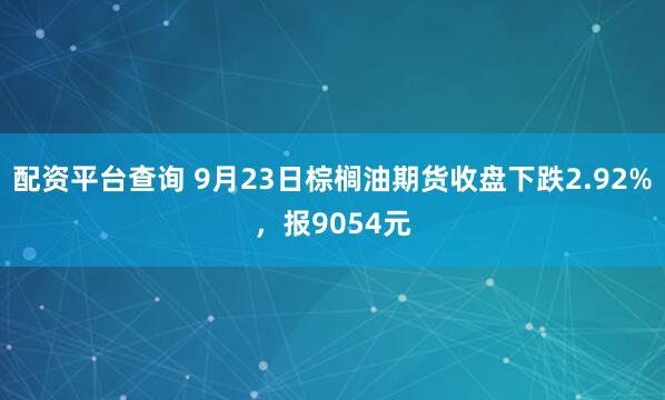 配资平台查询 9月23日棕榈油期货收盘下跌2.92%,报9054元