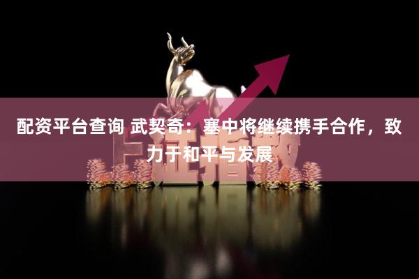 配资平台查询 武契奇:塞中将继续携手合作,致力于和平与发展
