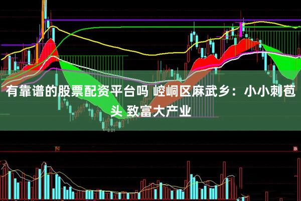 有靠谱的股票配资平台吗 崆峒区麻武乡：小小刺苞头 致富大产业